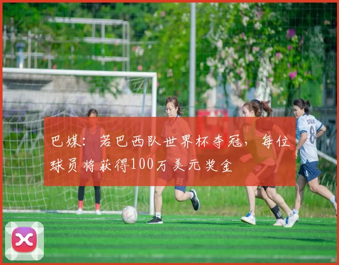 巴媒：若巴西队世界杯夺冠，每位球员将获得100万美元奖金