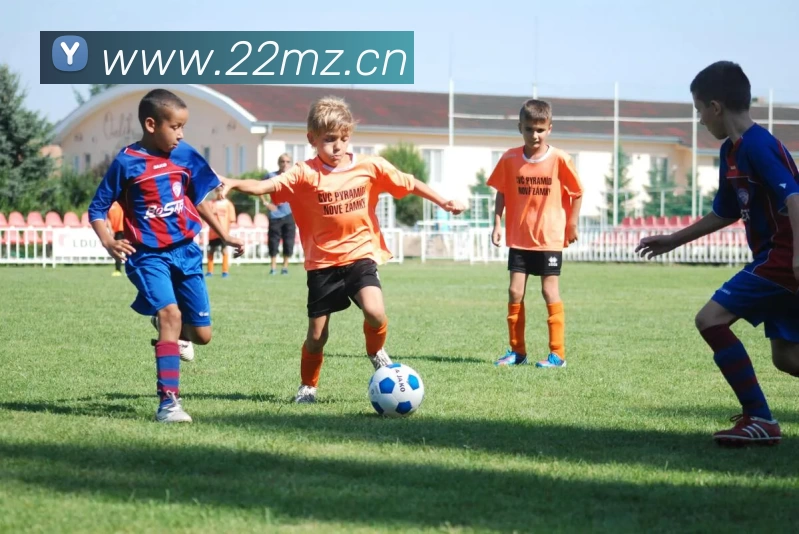 数据防护可视化